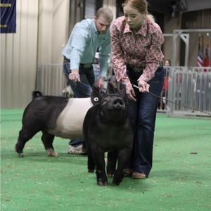 Meet your Posher, Alyson